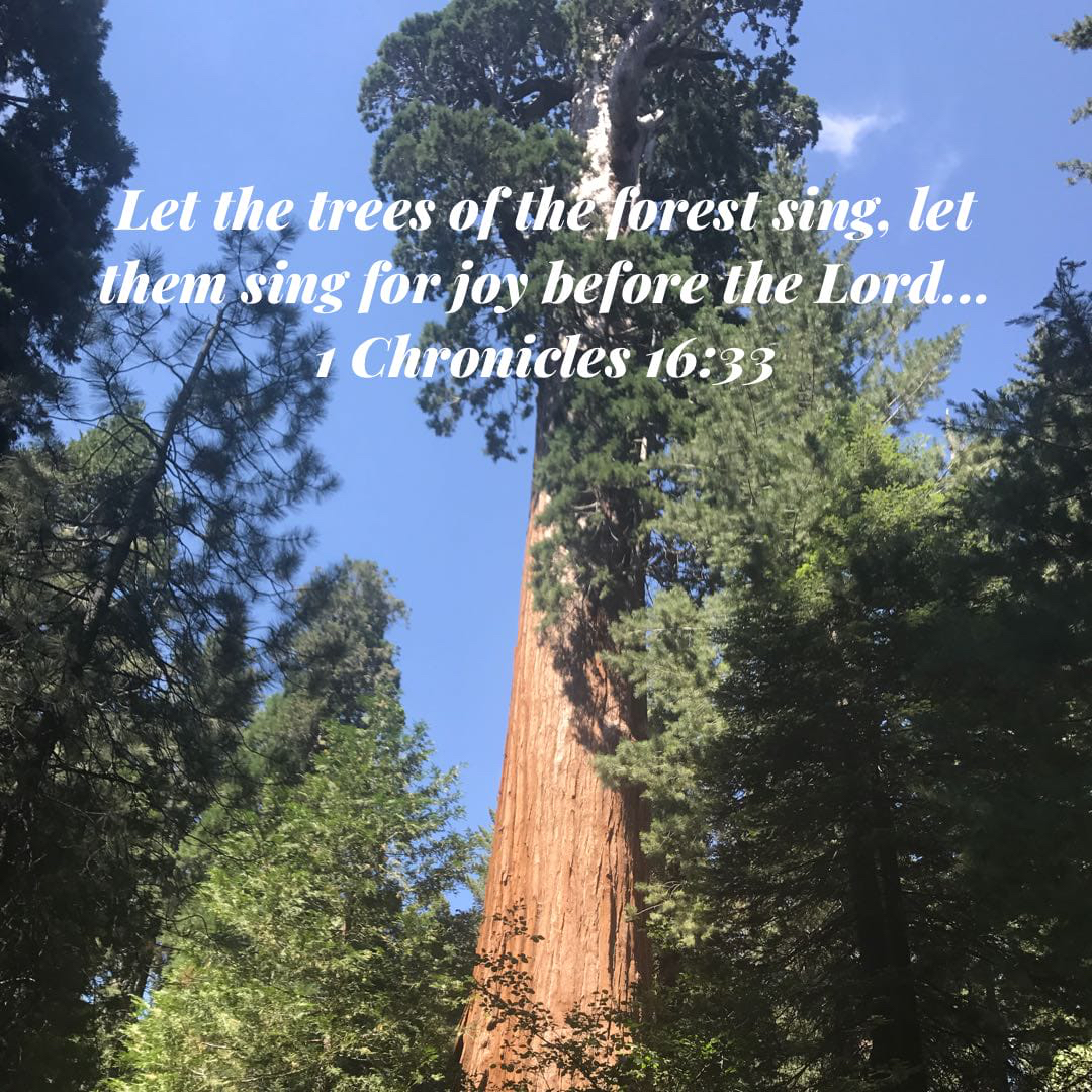 Splendor and Majesty ~ Knowing God Through His Magnificent Creation. – Soul  Water, image size:1080x1080